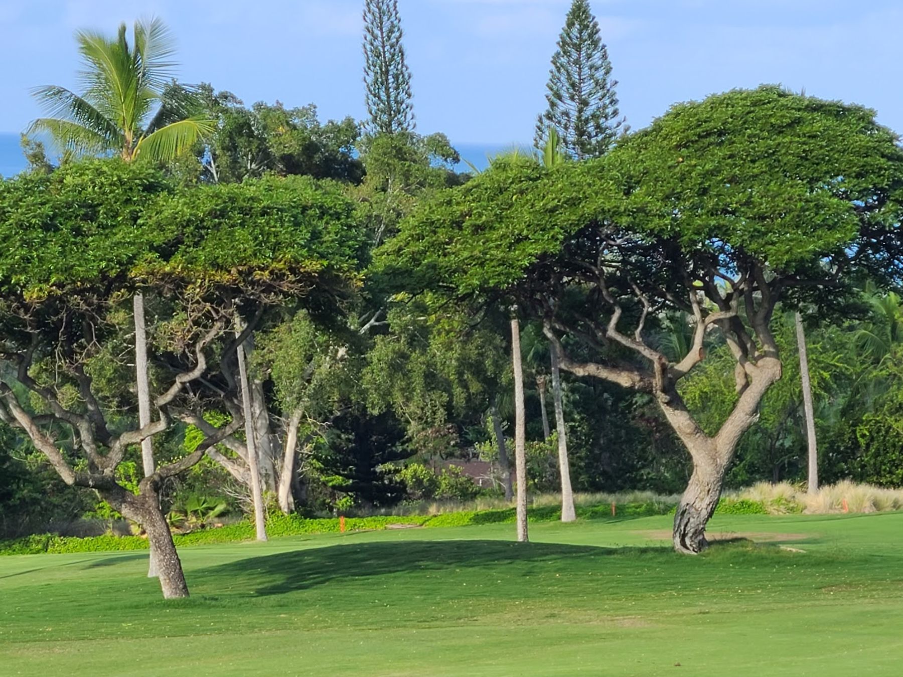 Photo 7 of Kona Country Club in Kailua-Kona, Big Island