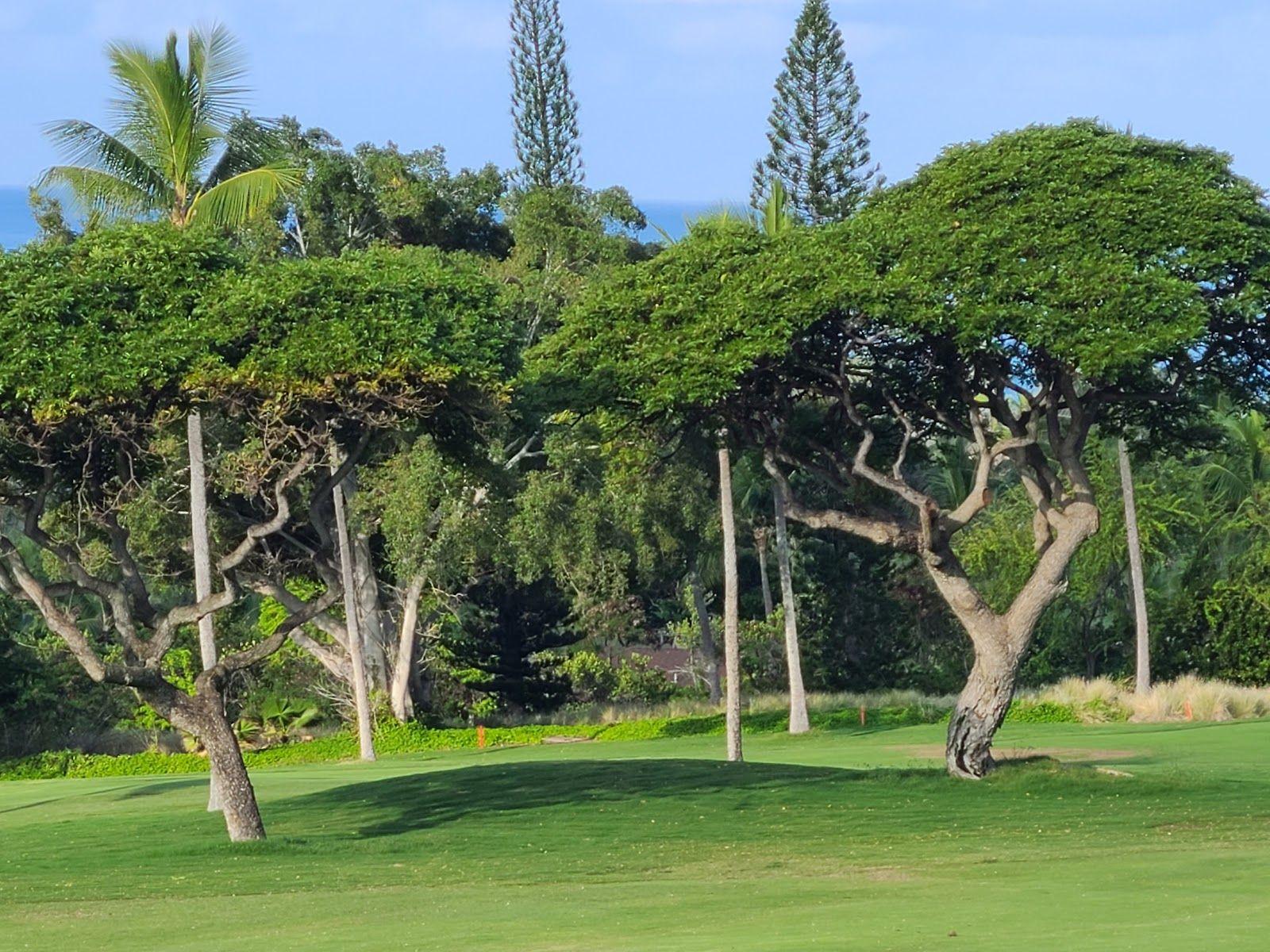 Photo 7 of Kona Country Club in Kailua-Kona, Big Island