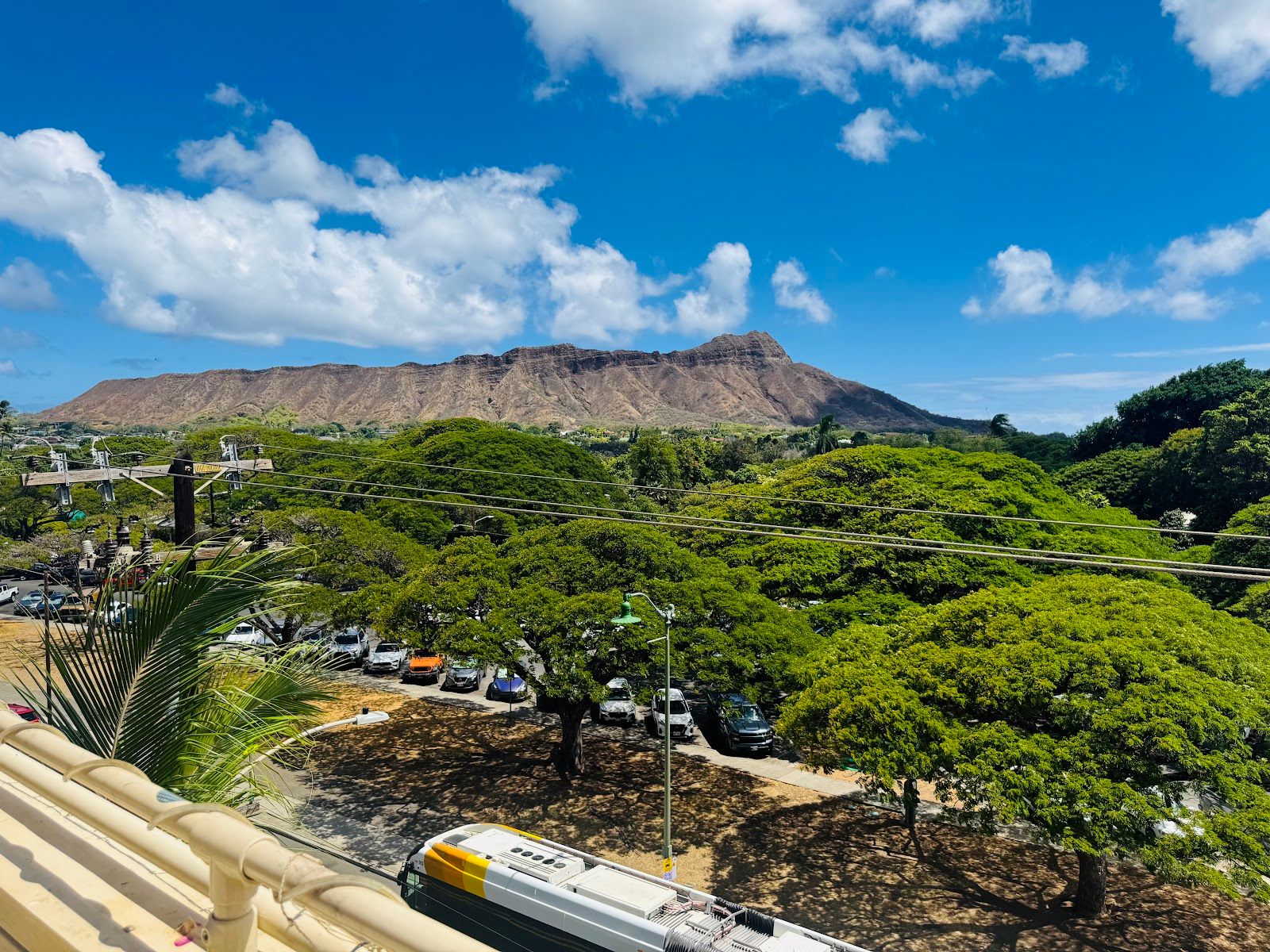 A wide view from DECK. over Kapiolani Park toward Diamond Head.