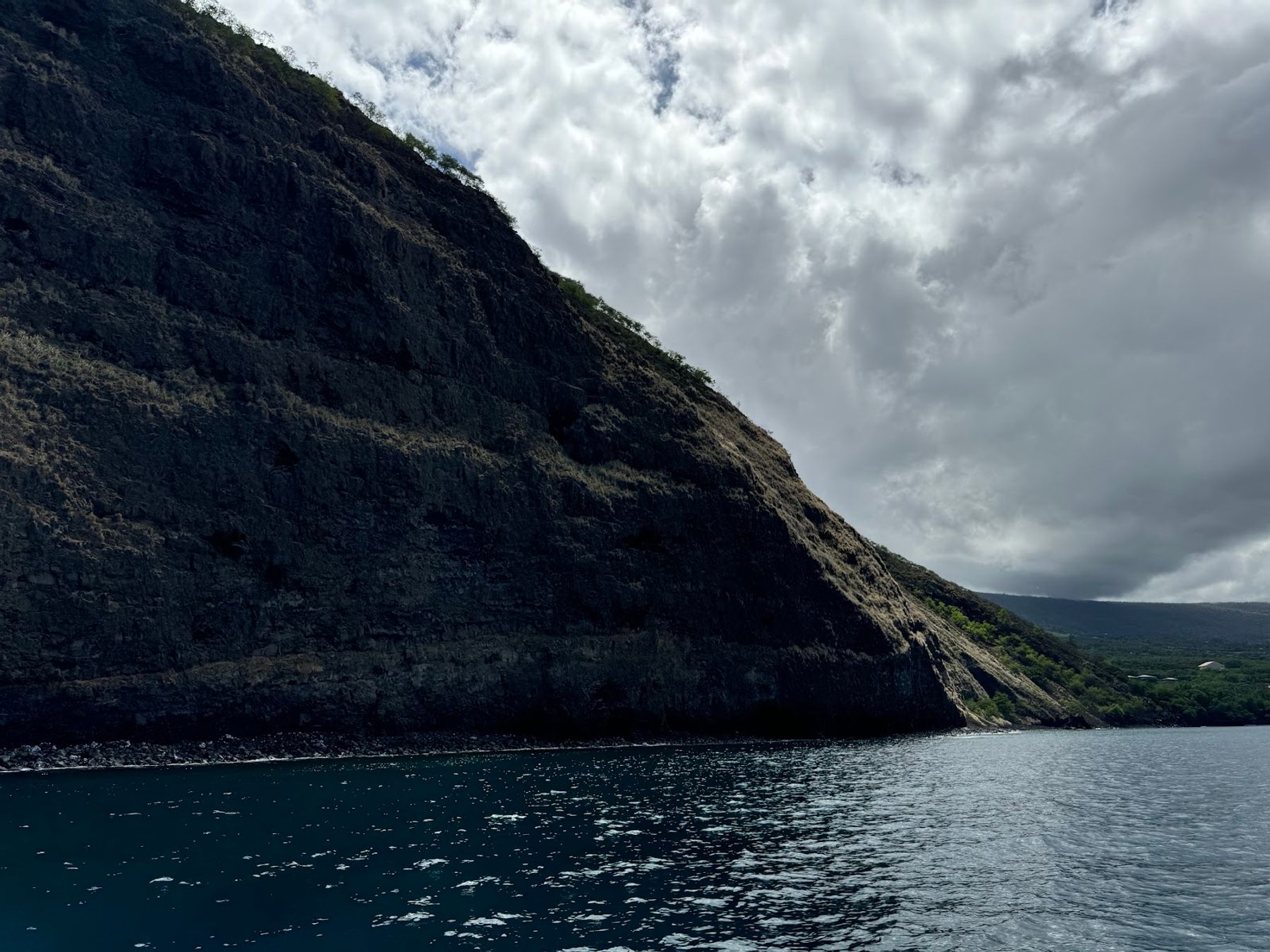 Photo 5 of Ali'i Ocean Tours in Kailua-Kona, Big Island
