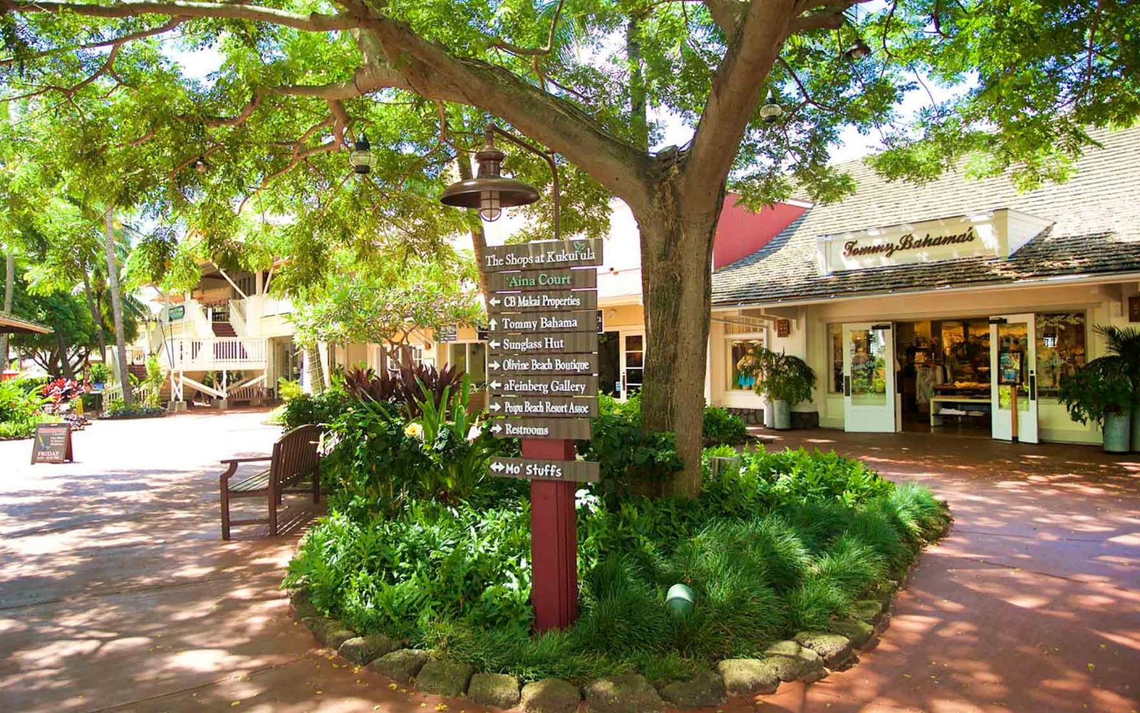 Where to Eat on the South Shore: Top Picks for Every Budget