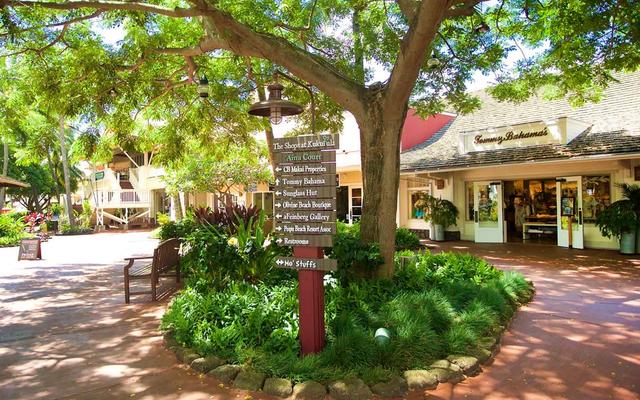 Where to Eat on the South Shore: Top Picks for Every Budget