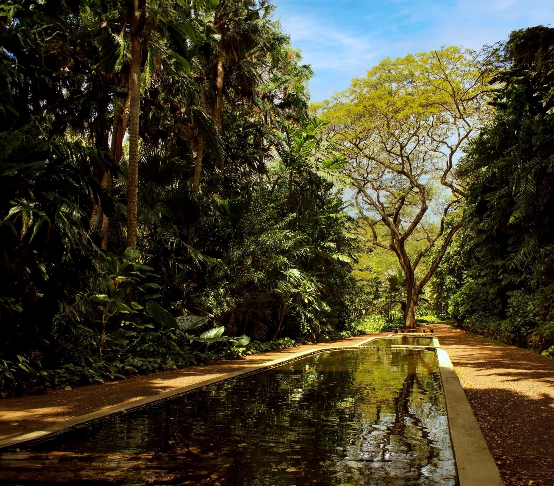 Long reflective water channel beside a shaded garden path, surrounded by dense tropical trees with a bright canopy and blue sky beyond
