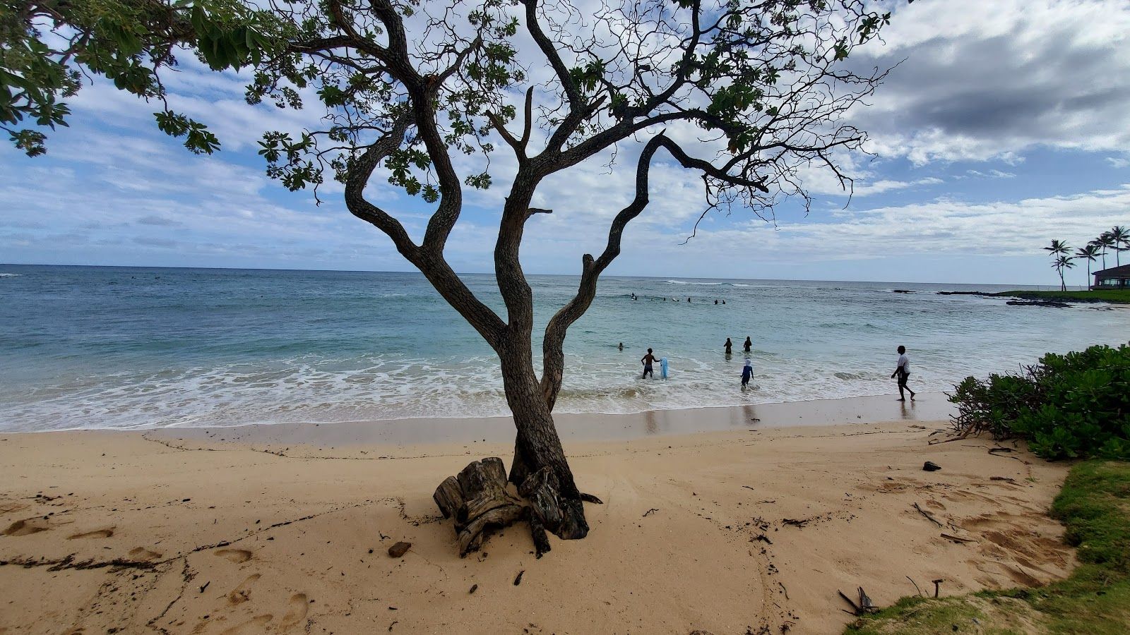 Kiahuna Beach in Poʻipū, Kaua‘i photo 6