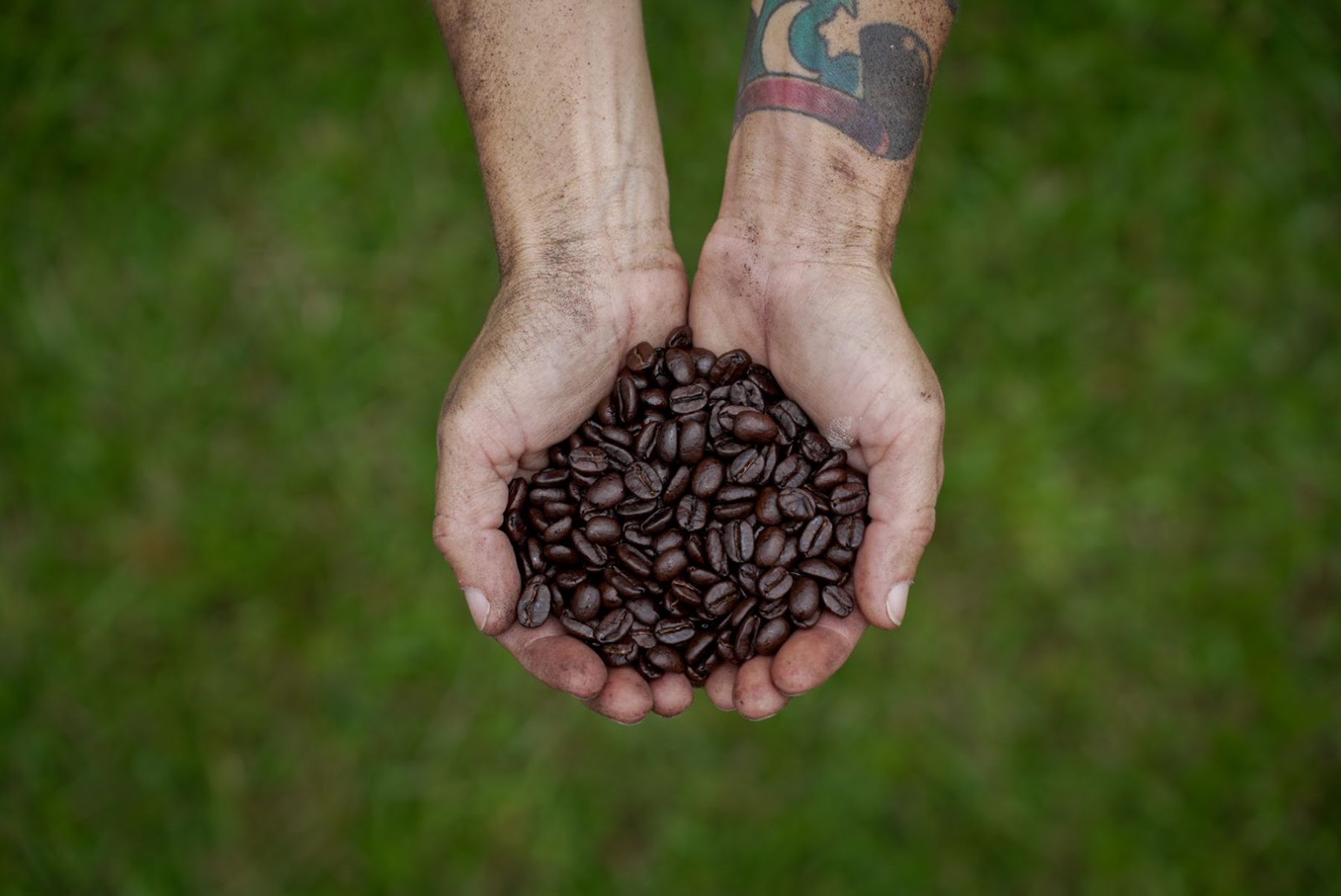 Photo 3 of Hilo Coffee Mill in Mountain View, Big Island