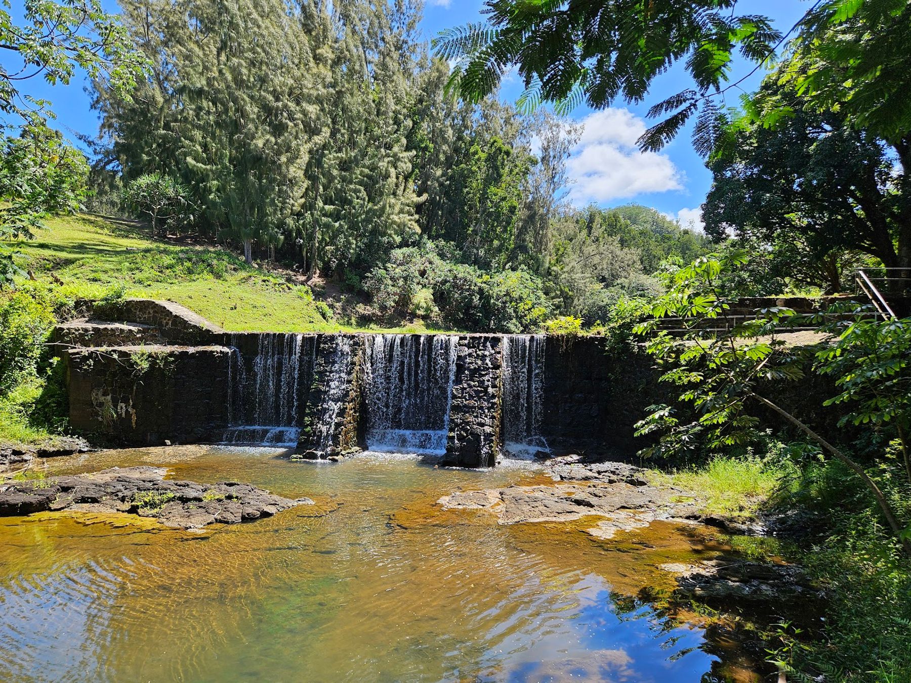 Wai Koa Loop Trail in Kīlauea, Kaua‘i photo 2