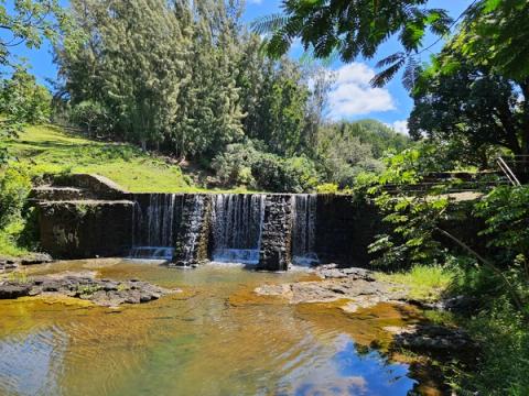 Stone damn on the Wai Koa Loop Trail