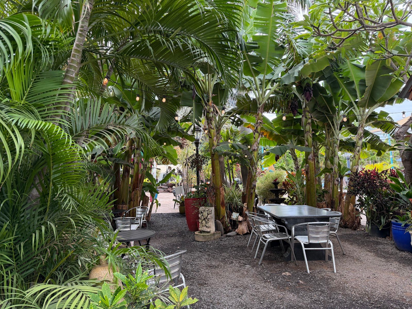 Photo 6 of Da Green Coffee Bar in Kīhei, Maui
