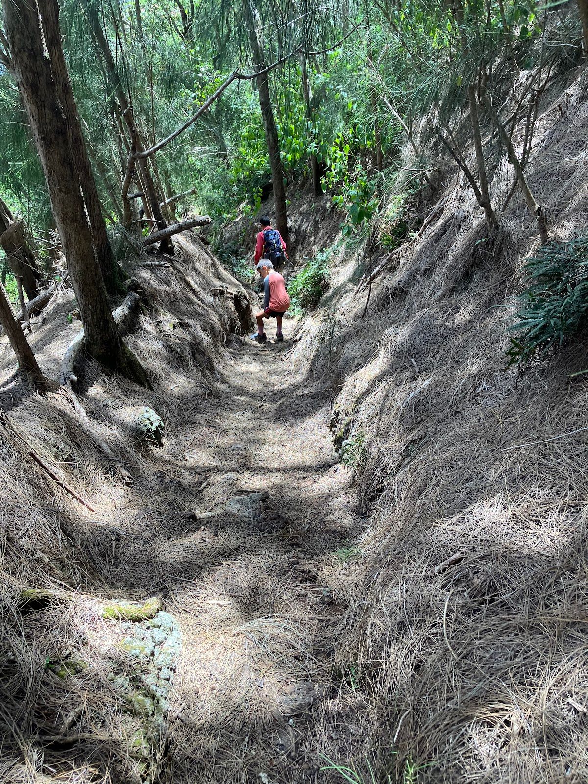 Photo 5 of Muliwai Trail in Waipiʻo, Big Island