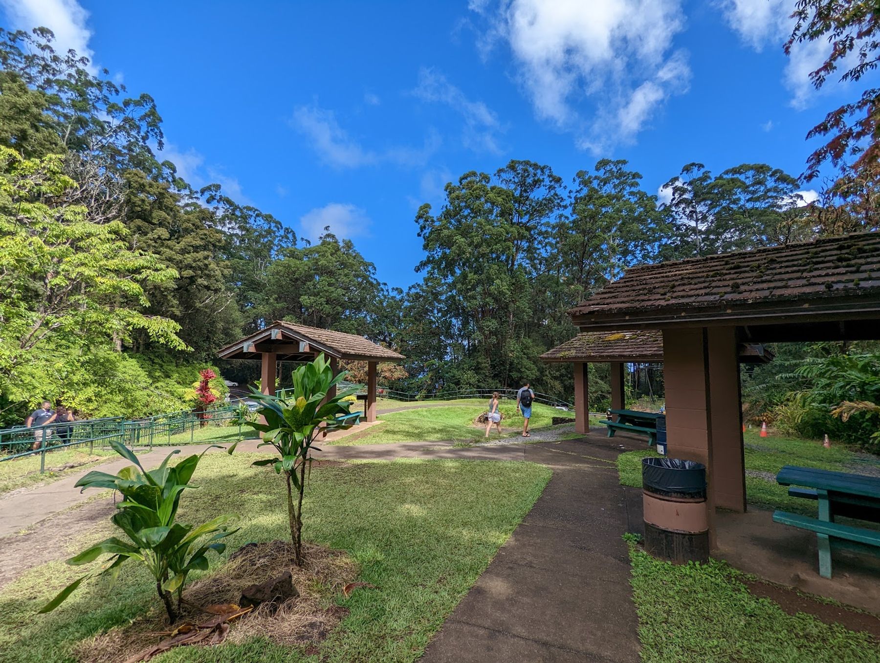 Photo 4 of Pua'a Ka'a Falls in Keʻanae-Nāhiku, Maui