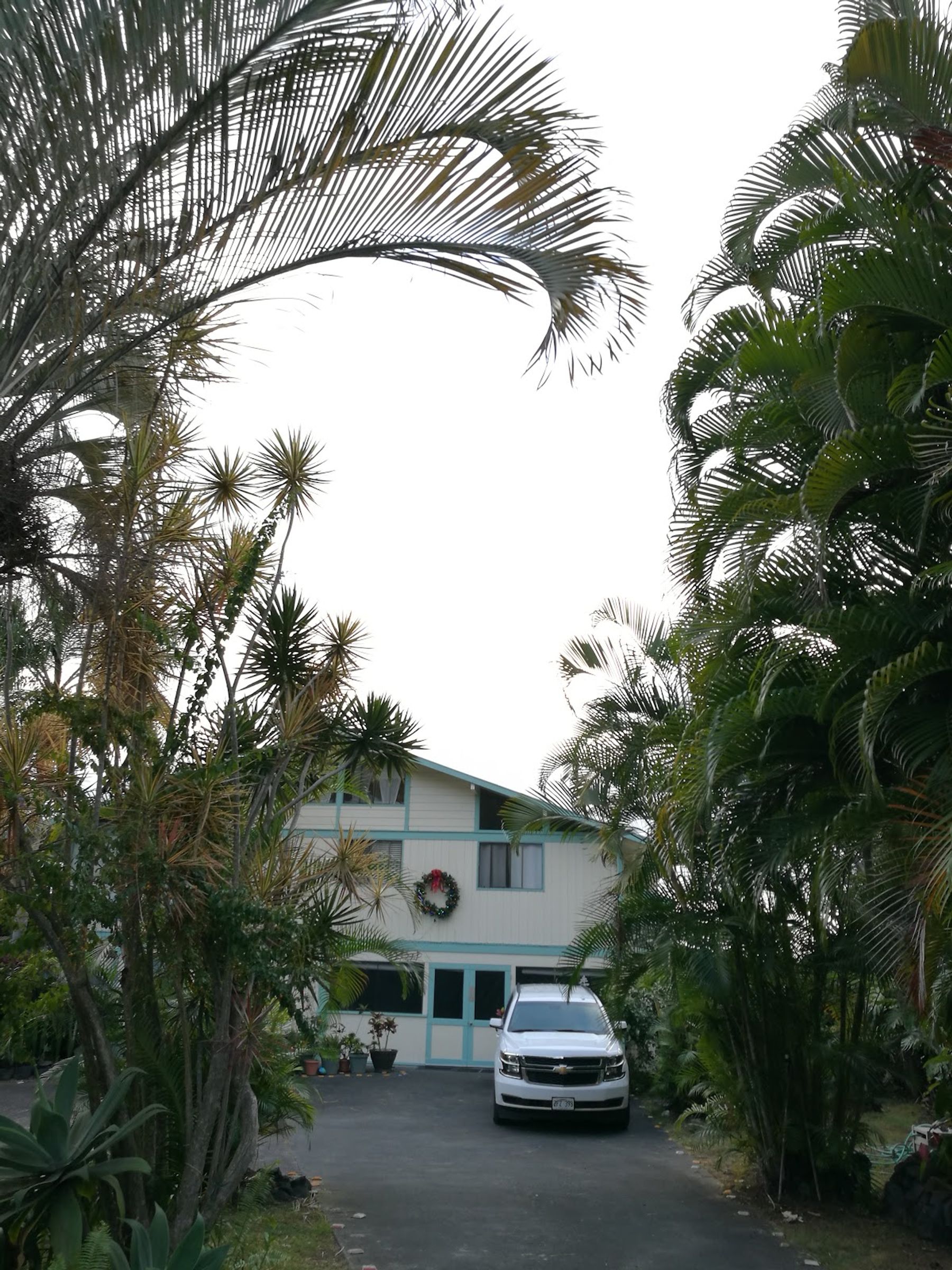 Photo 4 of Hale Hoola B&B in South Kona, Big-island