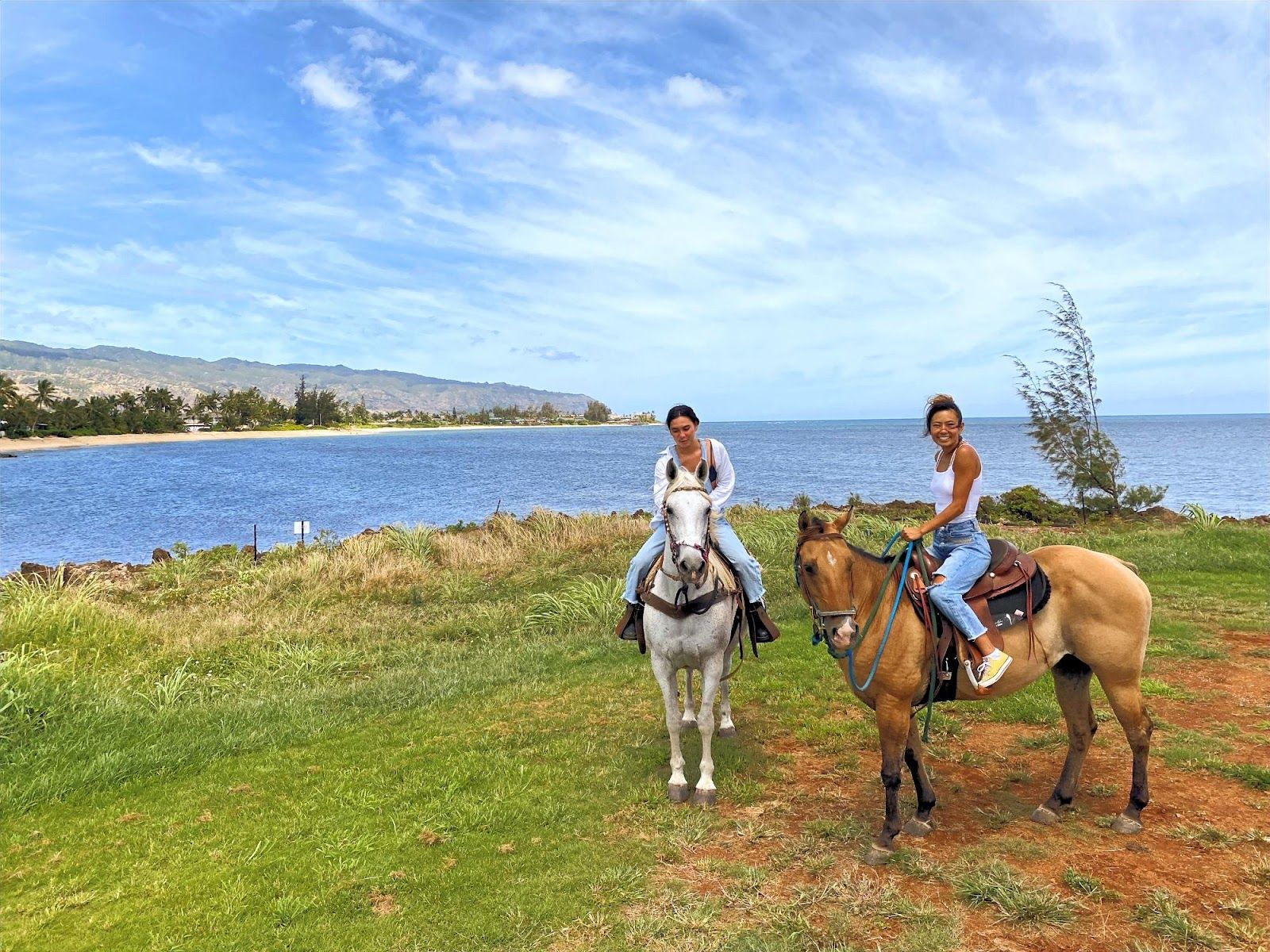 Photo 6 of North Shore Stables in Waialua & Mokulēʻia, Oahu