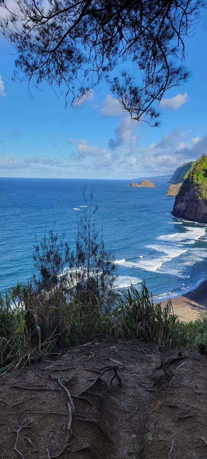 Photo 8 of Wailua Valley State Wayside in Keʻanae-Nāhiku, Maui
