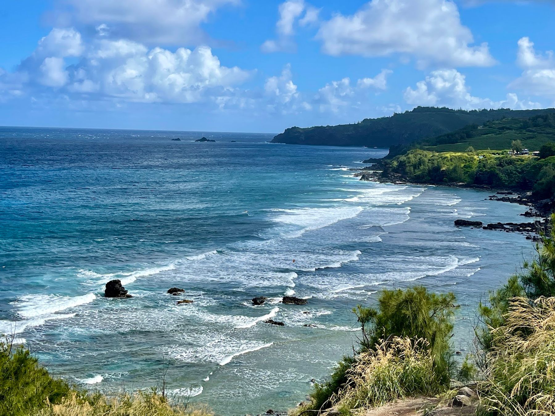 Photo 4 of Honolua Bay in Kapalua, Maui