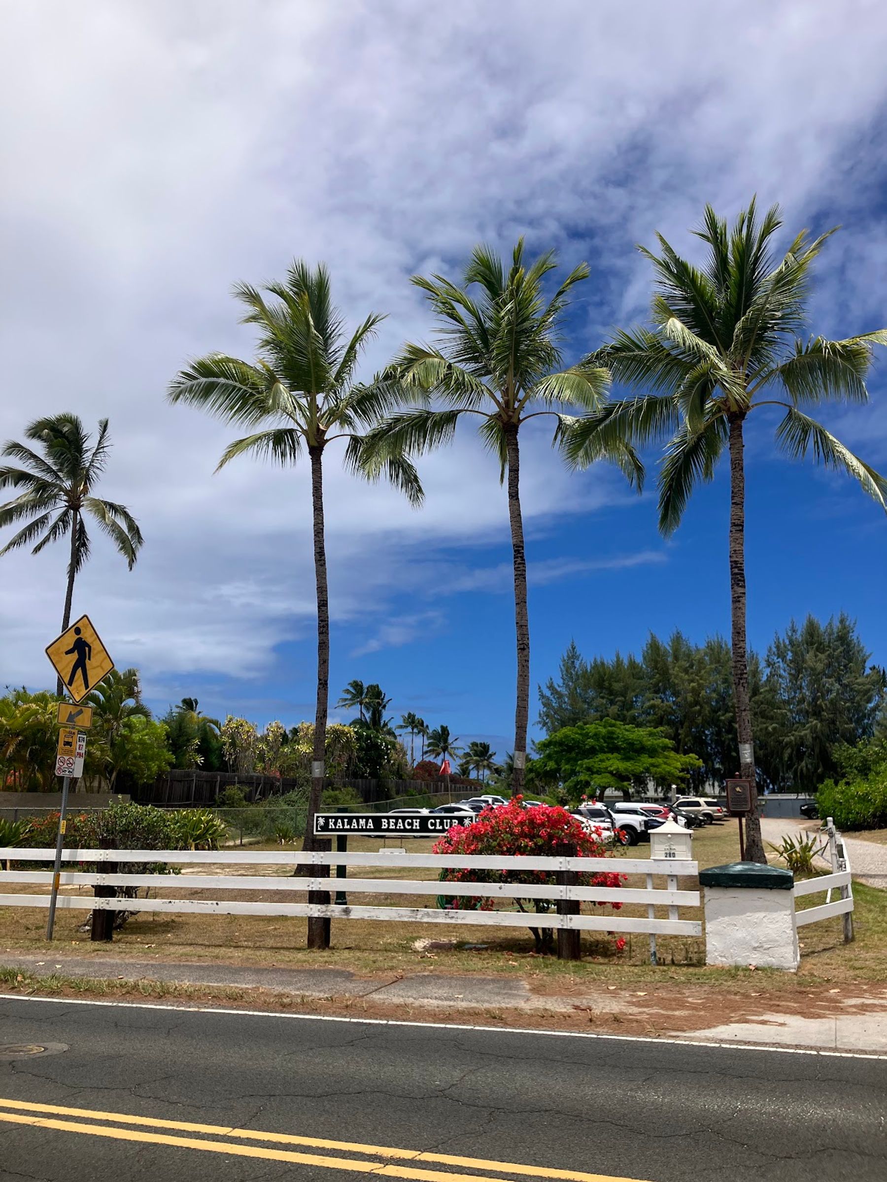 Photo 6 of Kalama Beach Park in Kailua & Lanikai, Oahu