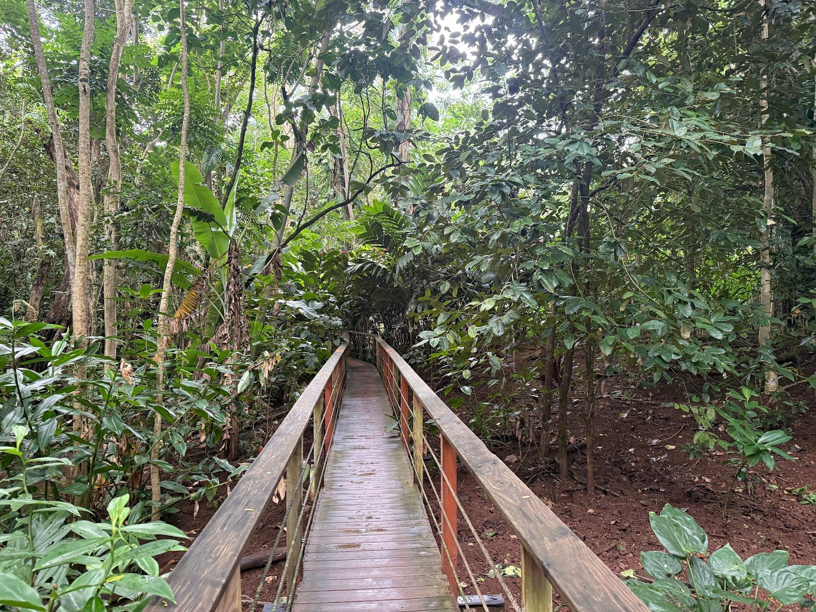 Photo 10 of Kauai Safaris in Līhuʻe, Kauai