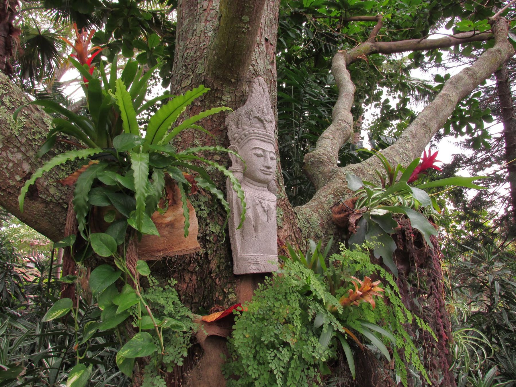 Photo 4 of Honu Kai Bed & Breakfast in Kailua-Kona, Big-island