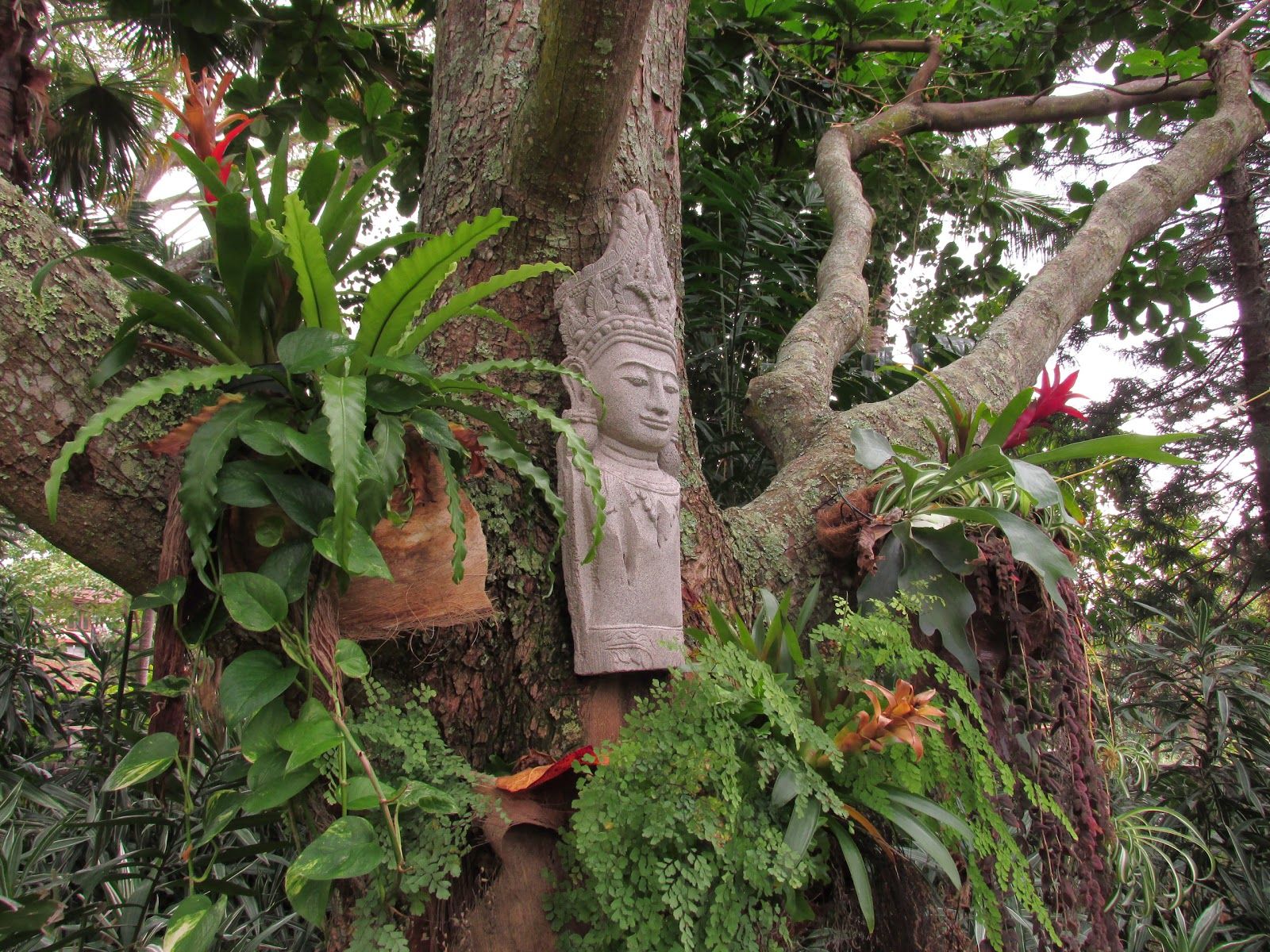 Photo 4 of Honu Kai Bed & Breakfast in Kailua-Kona, Big-island