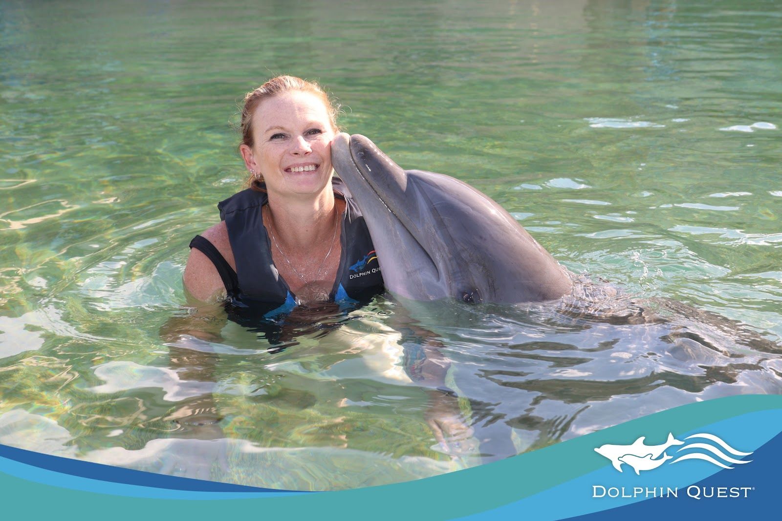 Photo 2 of Dolphin Quest Hawaii in Waikoloa, Big Island