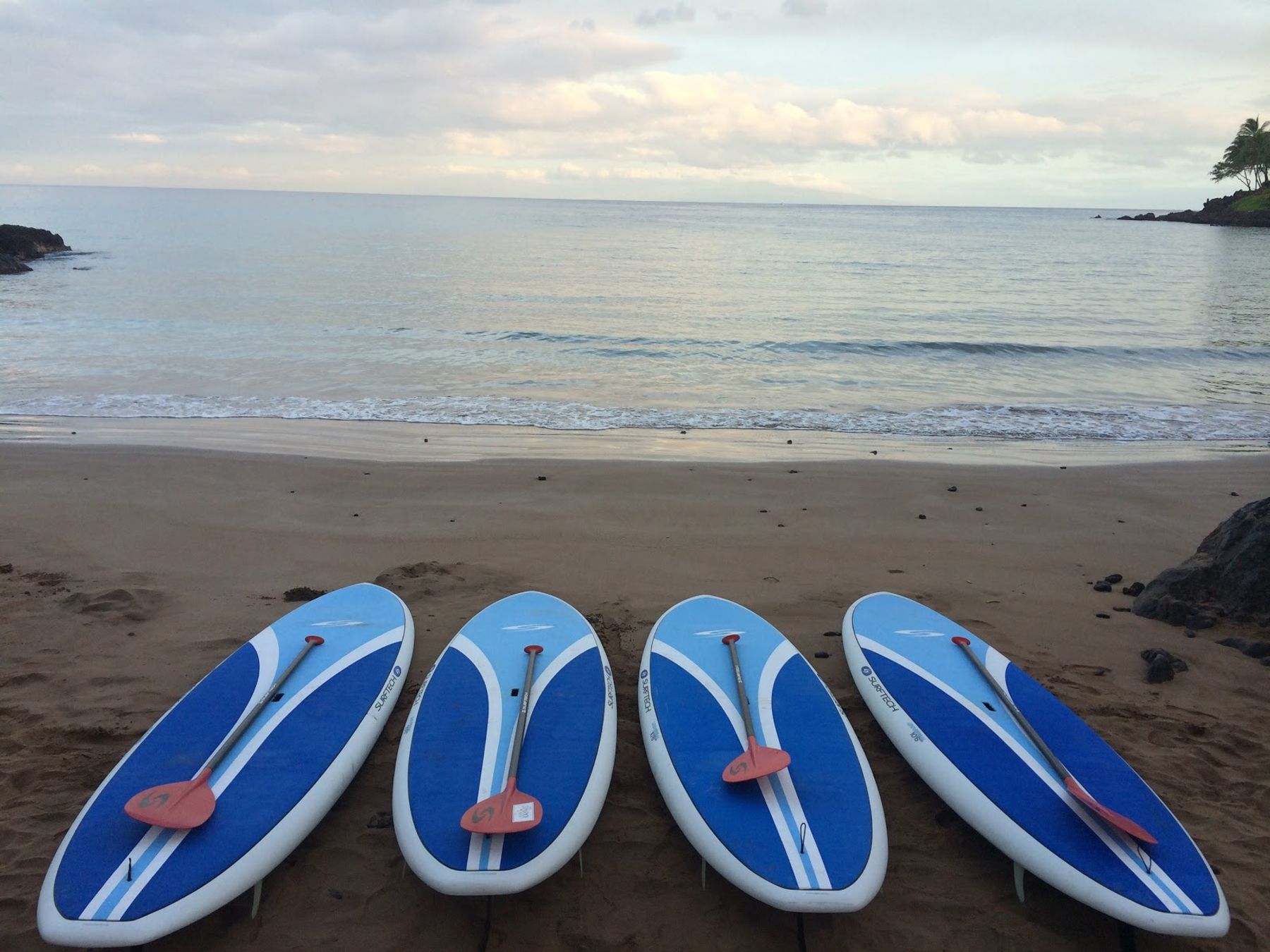 Photo 8 of Aloha Kayaks Maui in Kīhei, Maui