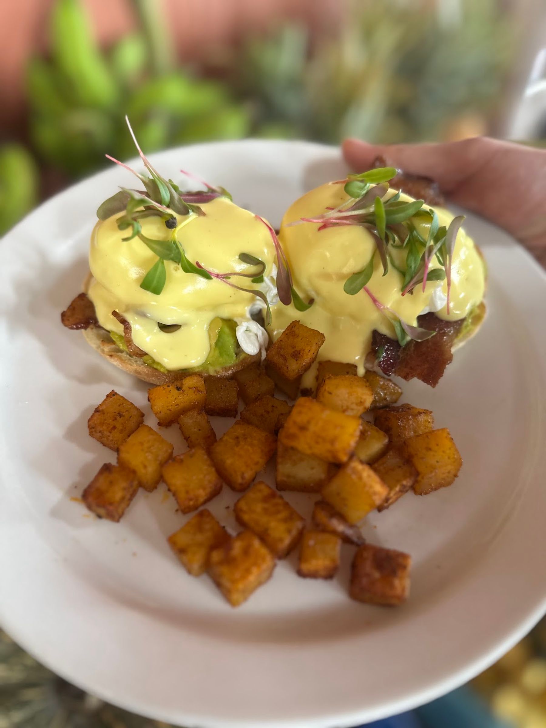 Photo 5 of Island Fresh Café in Pāʻia, Maui