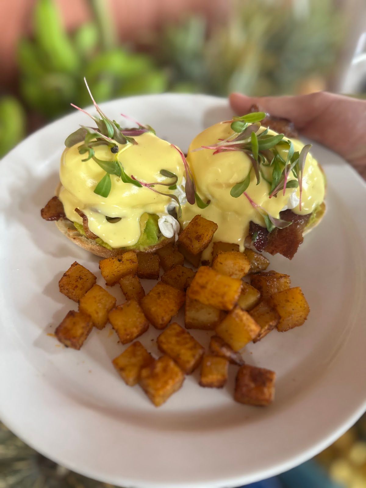 Photo 5 of Island Fresh Café in Pāʻia, Maui