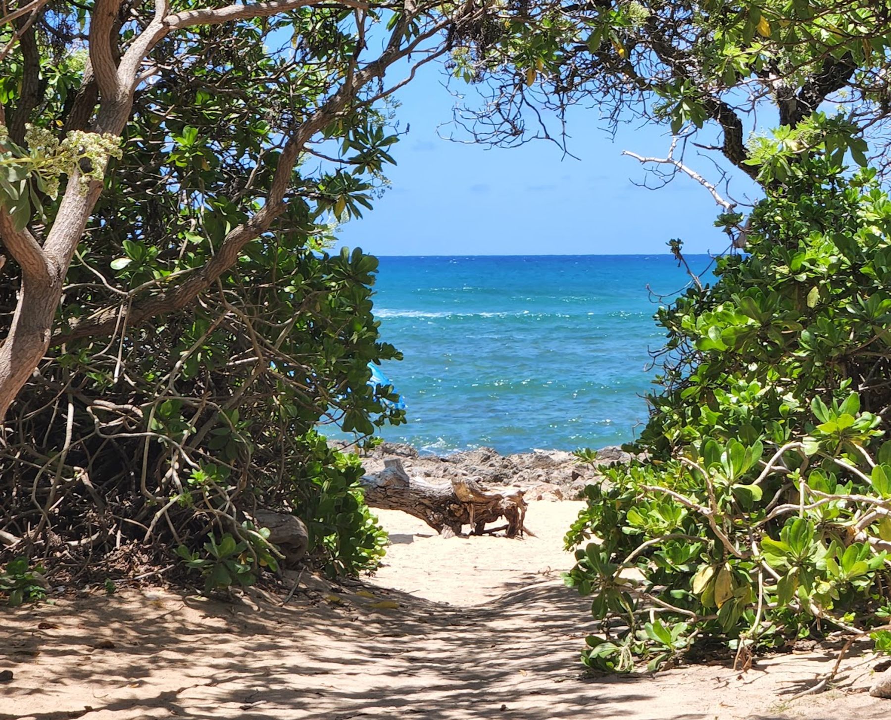 Photo 5 of Turtle Beach in Kahuku & Turtle Bay, Oahu