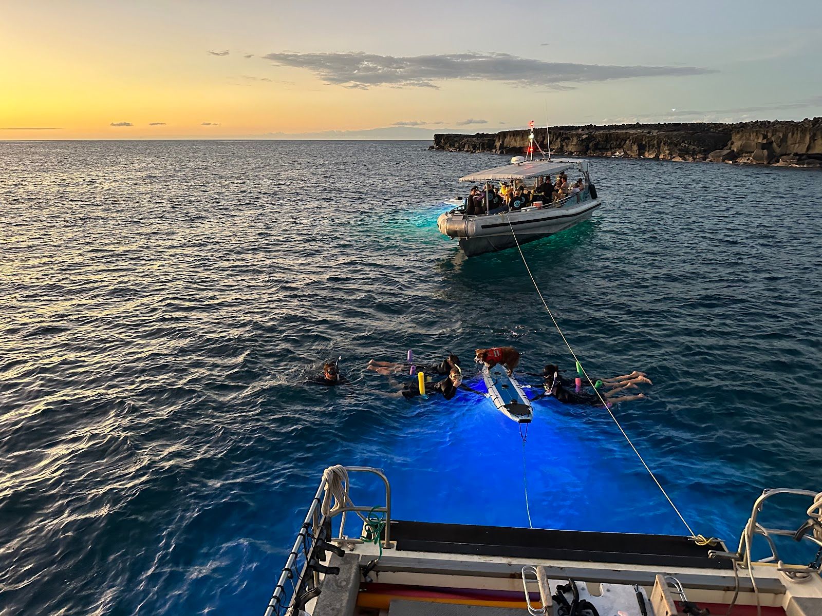 Photo 8 of Torpedo Tours in Kailua-Kona, Big Island