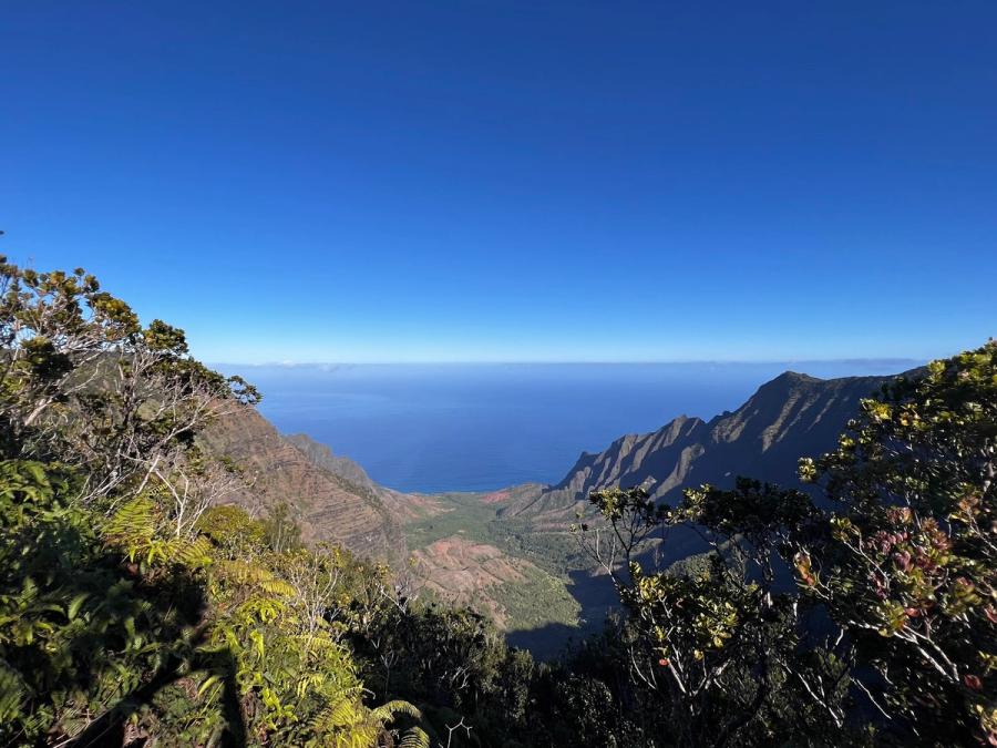 Pihea Trail in Hanapepe, Kaua‘i