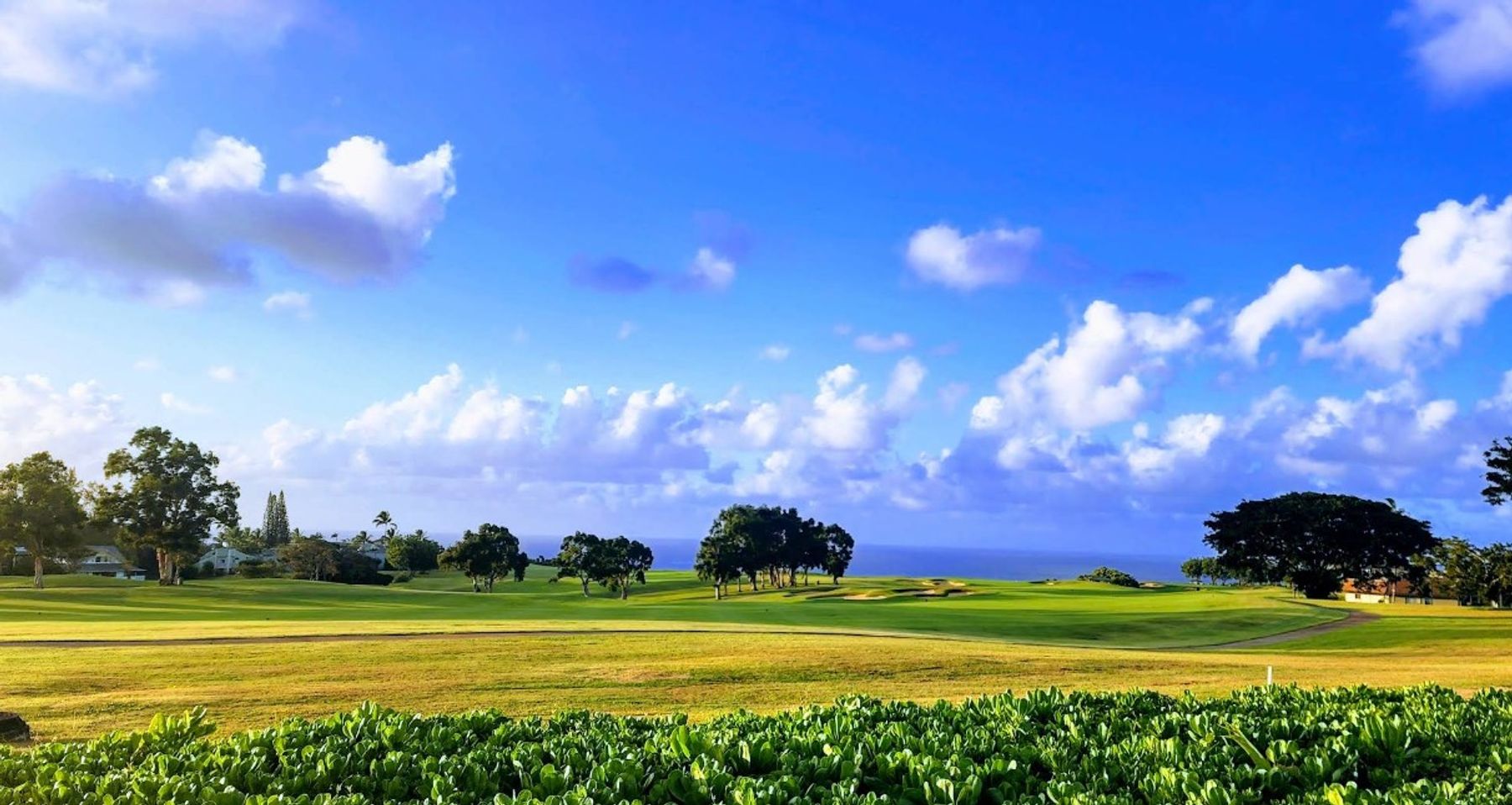 Princeville North Shore Preserve in Princeville, Kaua‘i photo 4