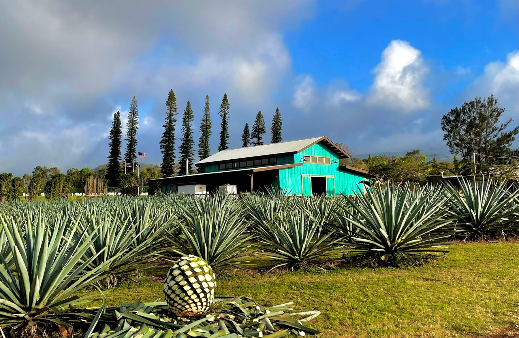 Photo 2 of Waikulu Distillery in Makawao & Pukalani, Maui