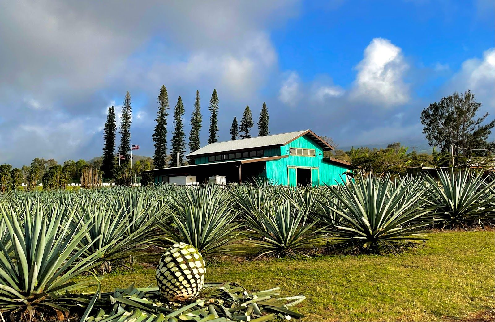 Photo 2 of Waikulu Distillery in Makawao & Pukalani, Maui
