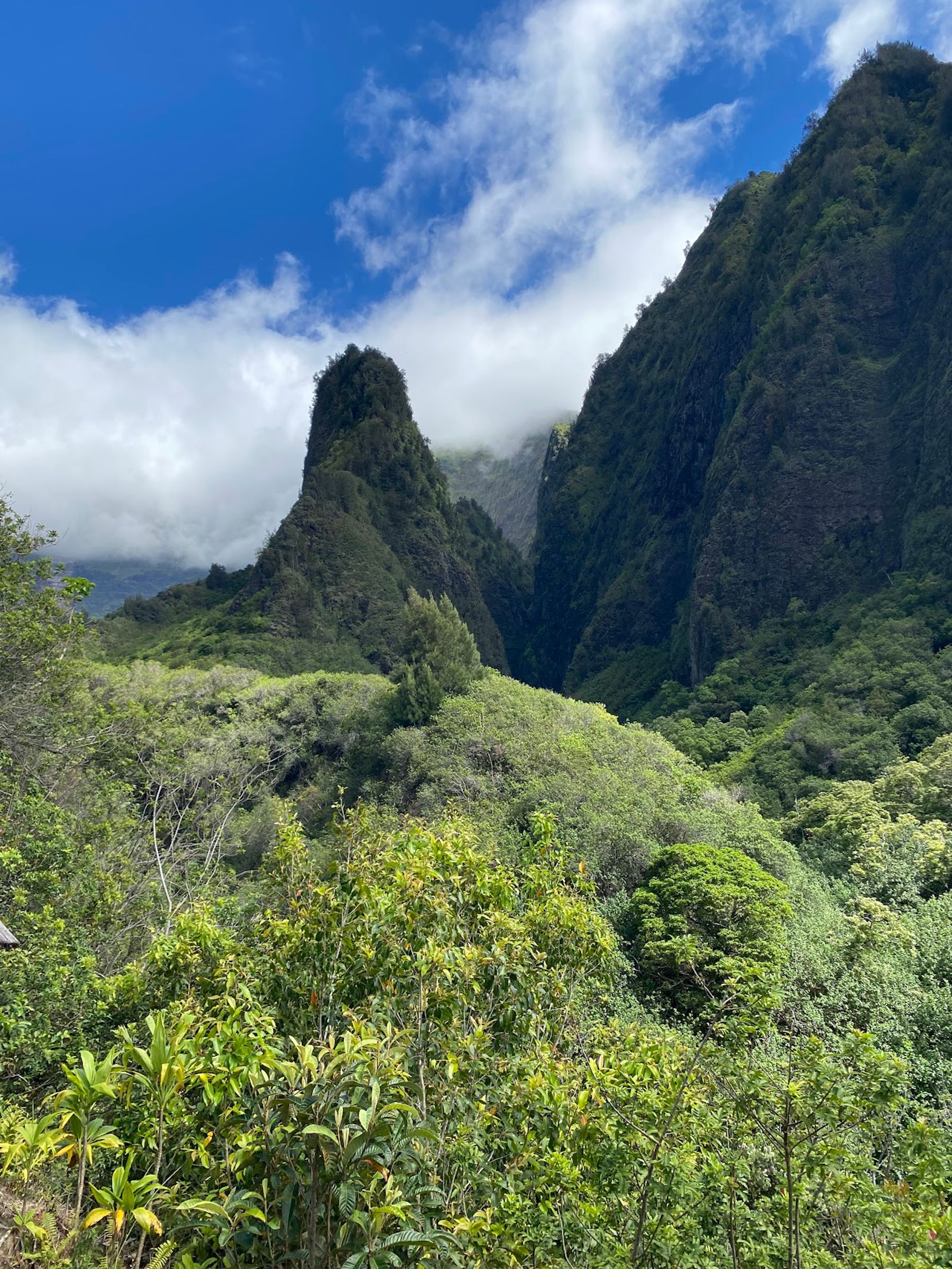 Photo 5 of Kepaniwai Park in Wailuku, Maui