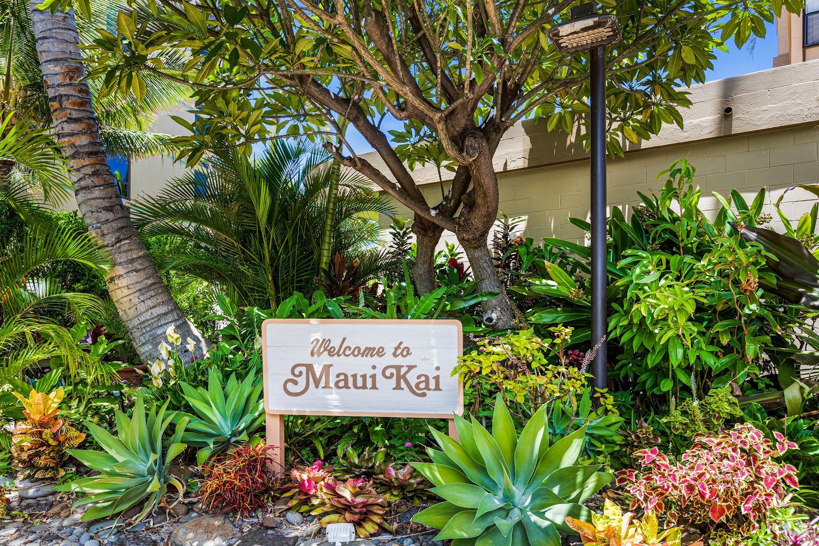 Photo 5 of Maui Kai Condos - Official Site in Kāʻanapali, Maui