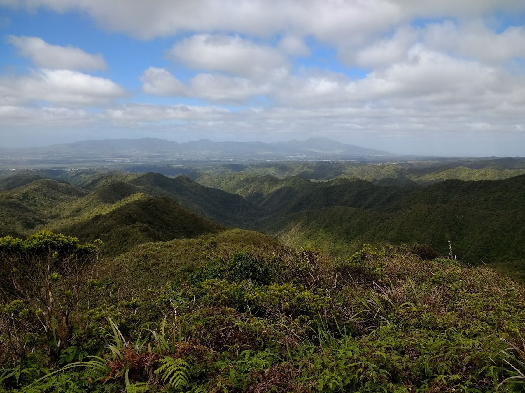 Photo 6 of Mānana Ridge Trail in Pearl City, Oahu