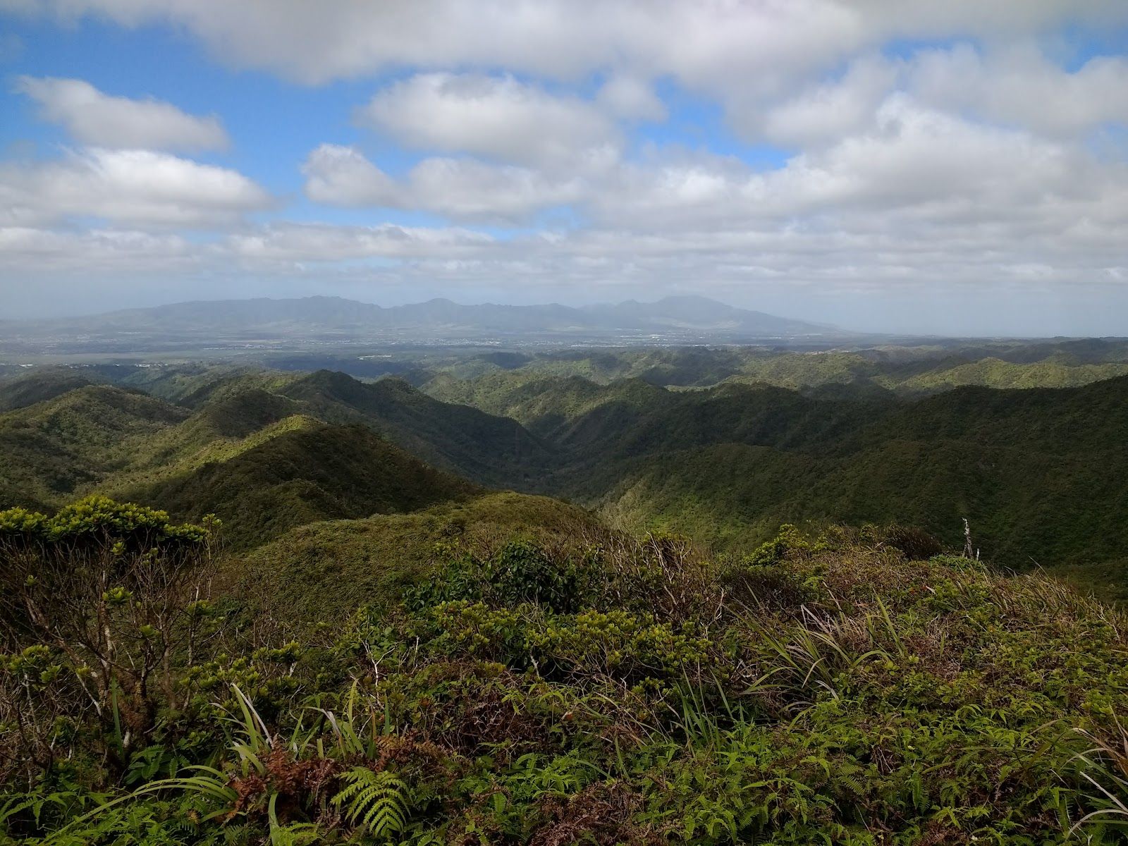 Photo 6 of Mānana Ridge Trail in Pearl City, Oahu
