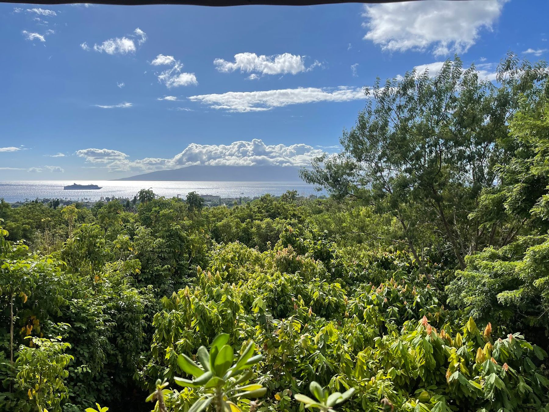 Photo 4 of Maui Ku’ia Estate Cacao Farm in Lāhainā, Maui