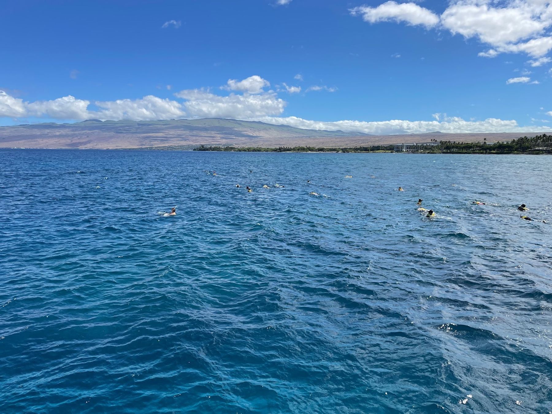 Photo 8 of Hawaii Nautical (Honokohau - Kona) in Kailua-Kona, Big Island
