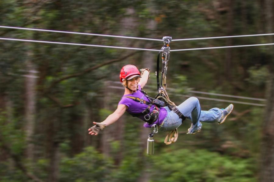 Photo 1 of Kohala Zipline in North Kohala, Big Island