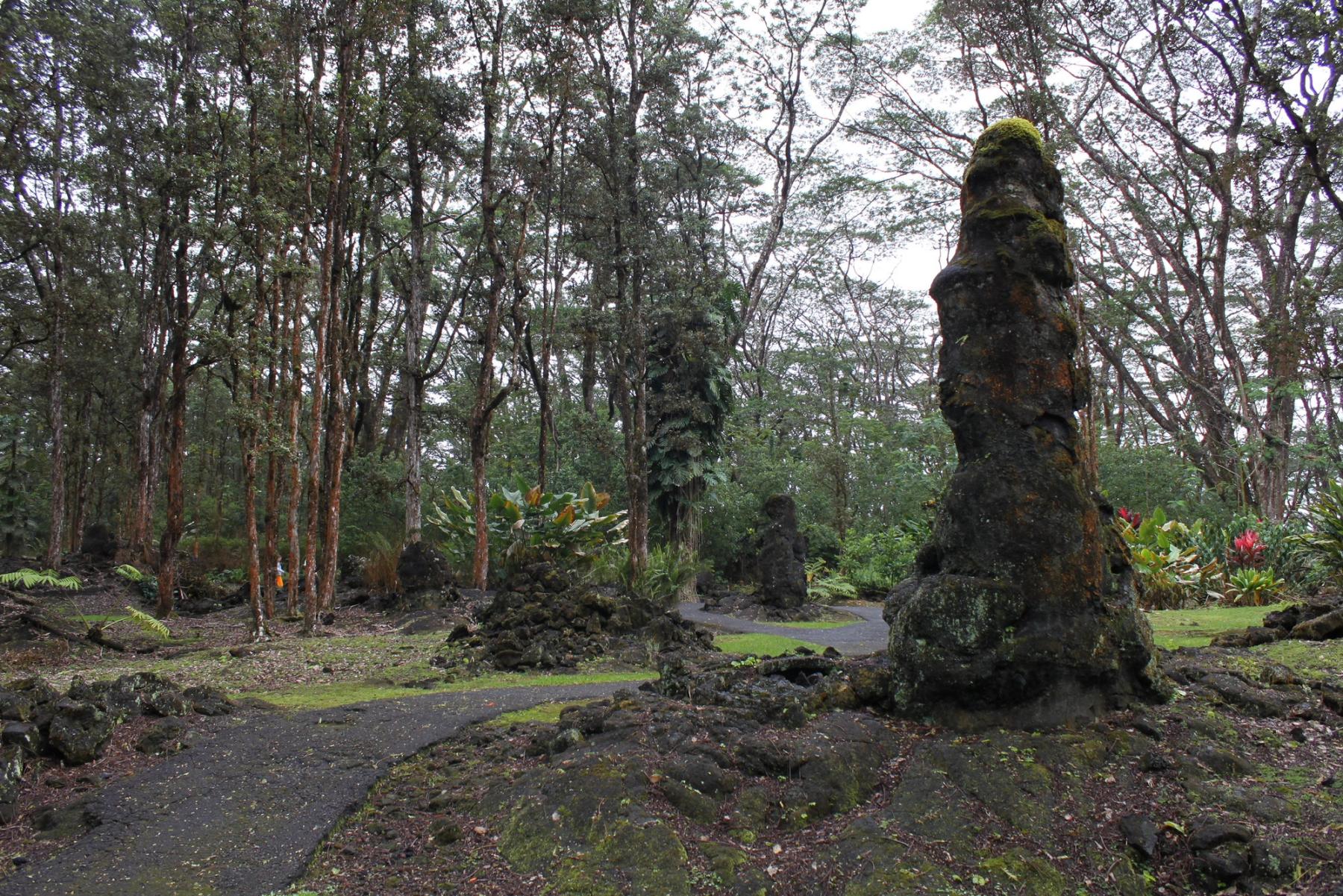 Winding paved paths weave through a forest of tall trees and tropical plants, with moss-covered lava rock formations in Pāhoa on Hawaiʻi Island.