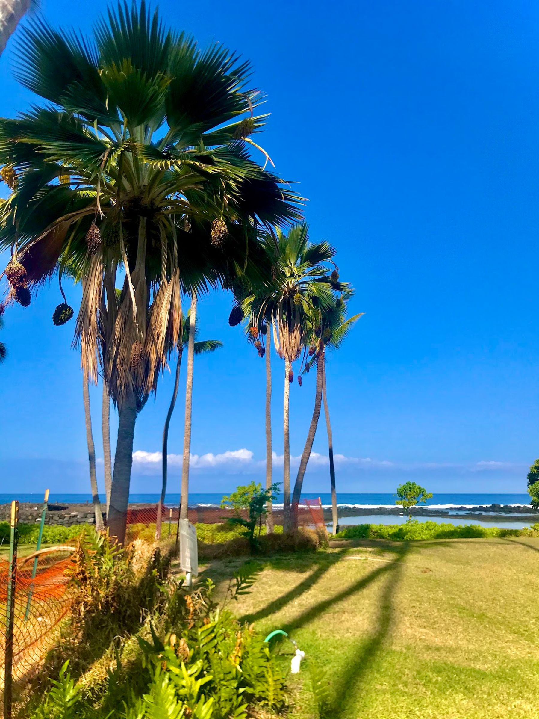 Photo 9 of Kahalu’u Beach Park in Kailua-Kona, Big Island