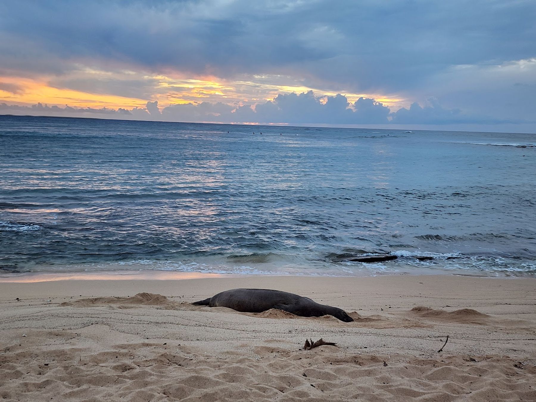 Poipu Beach in Poʻipū, Kaua‘i photo 6