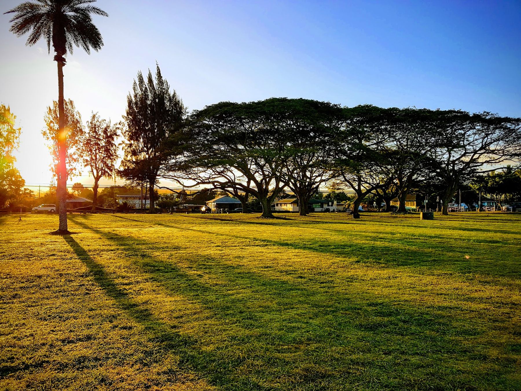 Photo 7 of Haleʻiwa Aliʻi Beach Park in Haleʻiwa, Oahu