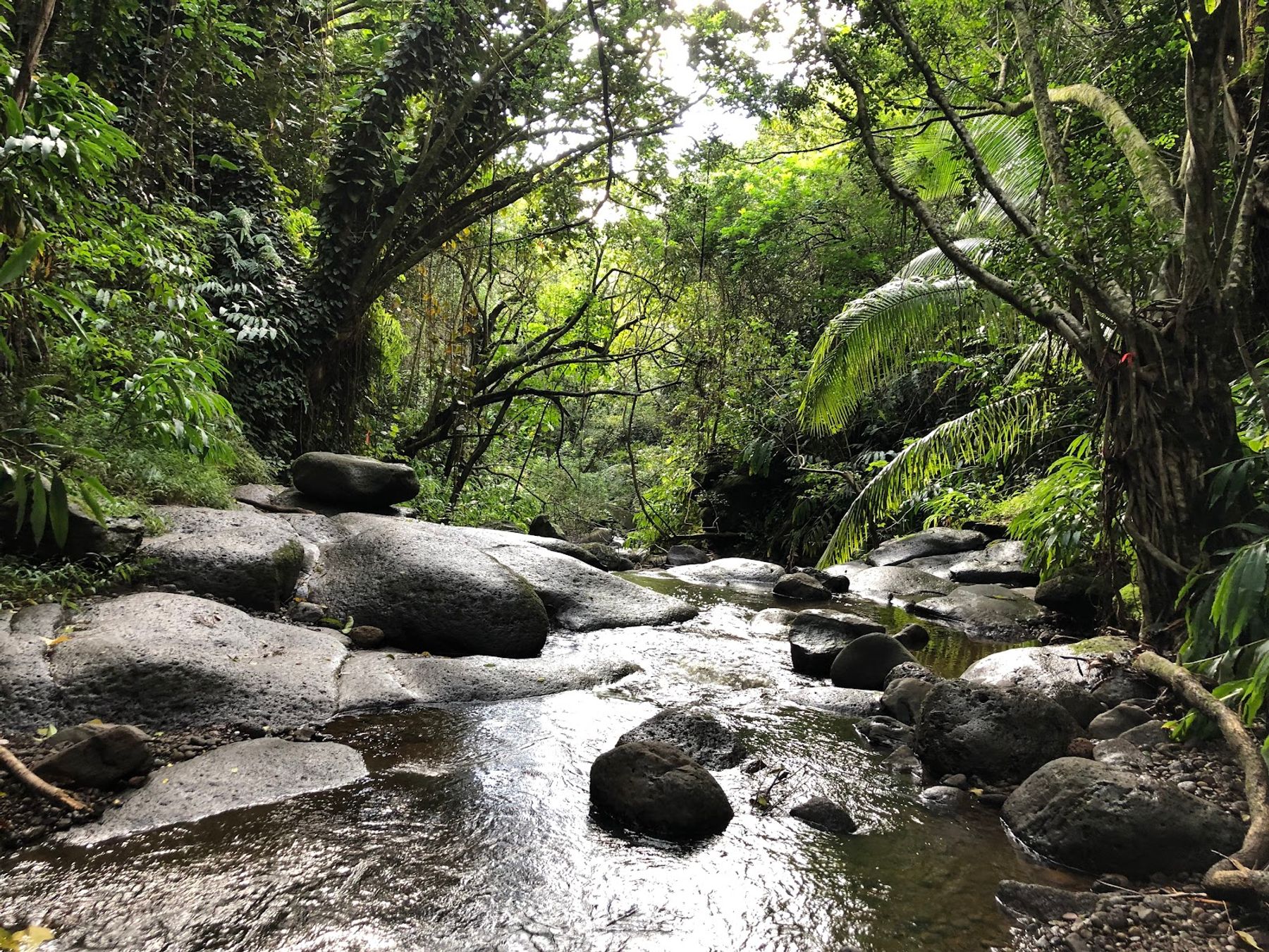 Photo 5 of Kaʻau Crater Trail in Kaimukī & Pālolo, Oahu