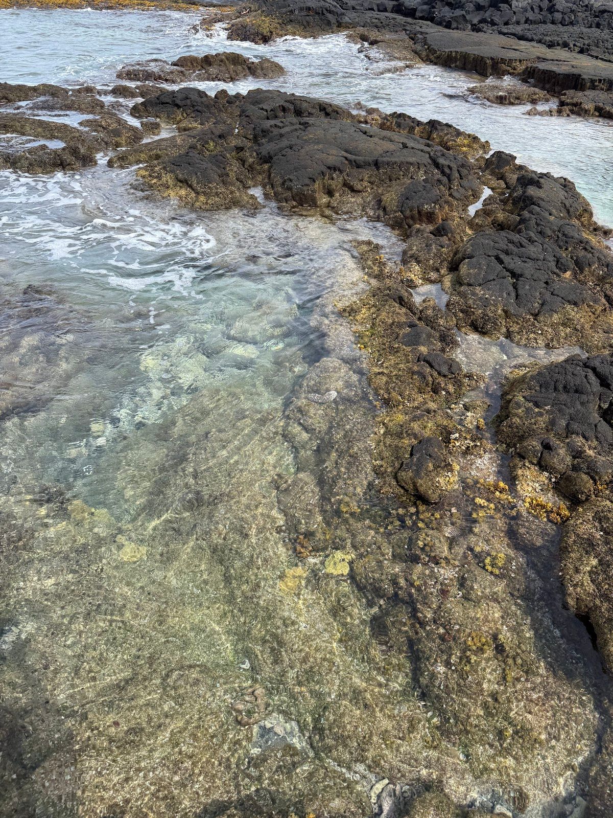 Photo 7 of Honaunau Bay in South Kona, Big Island