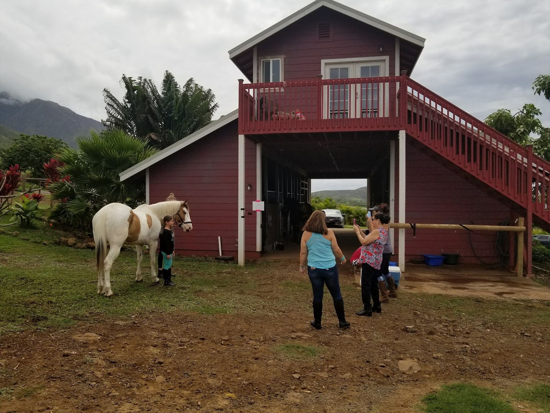Photo 4 of Lahaina Stables in Lāhainā, Maui