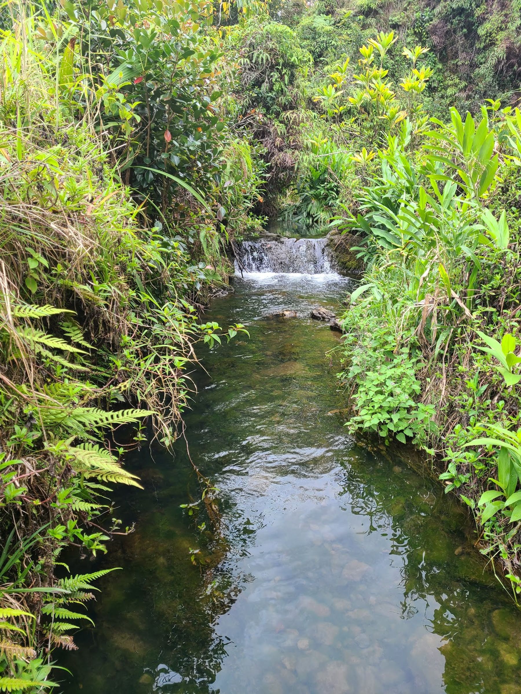 Photo 2 of Pua'a Ka'a Falls in Keʻanae-Nāhiku, Maui