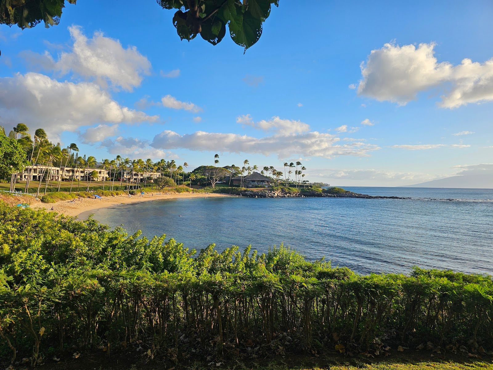 Photo 7 of Merriman's Kapalua in Kapalua, Maui