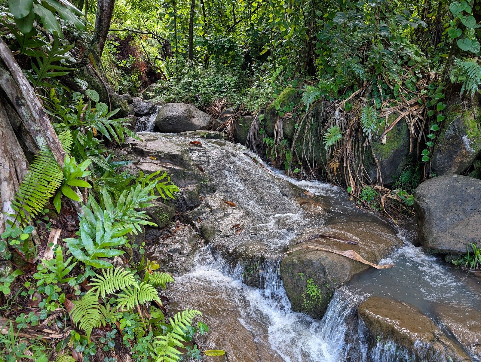 Hanakapiai Falls in Haena, Kaua‘i photo 5
