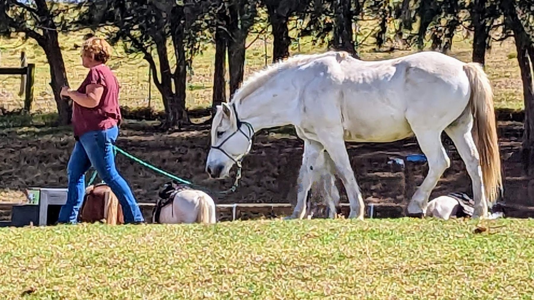 Photo 7 of Kahua Ranch Ltd in Waimea, Big Island